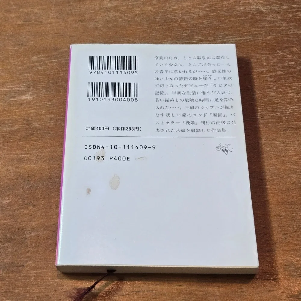 Yasuko Harada Sabita no Kioku Haien サビタの記憶／廃園 Japanese Novel 1987 Kodansha Book
